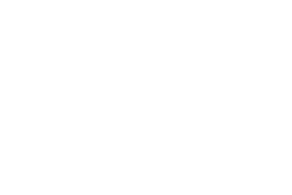 Grupo Onyx